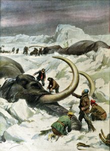 Ontdekking van bevroren mammoeten in Siberië, illustratie uit 